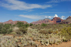 grand canyon<br>NIKON D200, 20 mm, 100 ISO,  1/320 sec,  f : 8 , Distance :  m